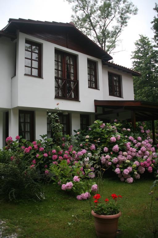 Beta Home Sapanca Bilik gambar