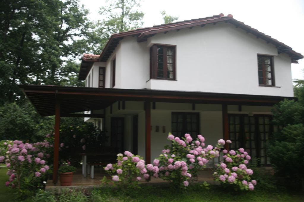 Beta Home Sapanca Bilik gambar